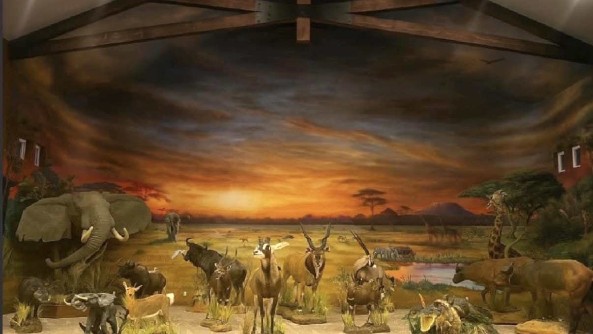 Immersive African wildlife mural across a trophy room
